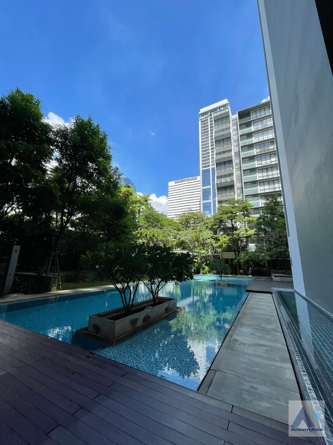  2 br Condominium For Rent in Sukhumvit ,Bangkok BTS Asok - MRT Sukhumvit at Domus 16 AA43043