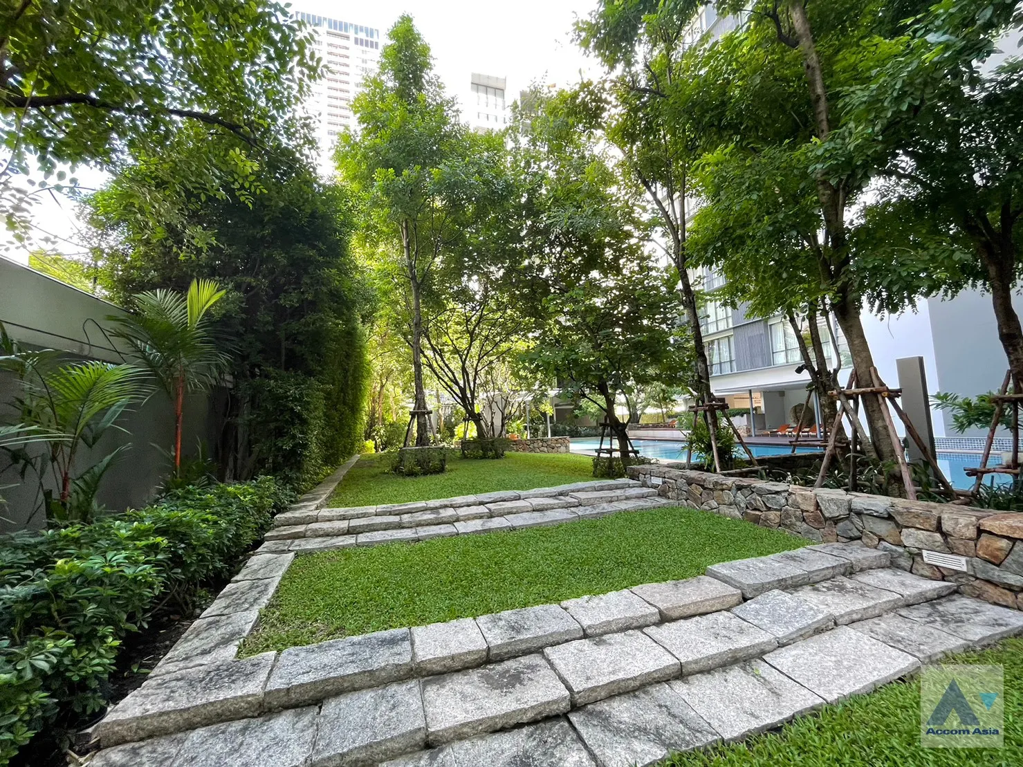  2 br Condominium For Rent in Sukhumvit ,Bangkok BTS Asok - MRT Sukhumvit at Domus 16 AA35293