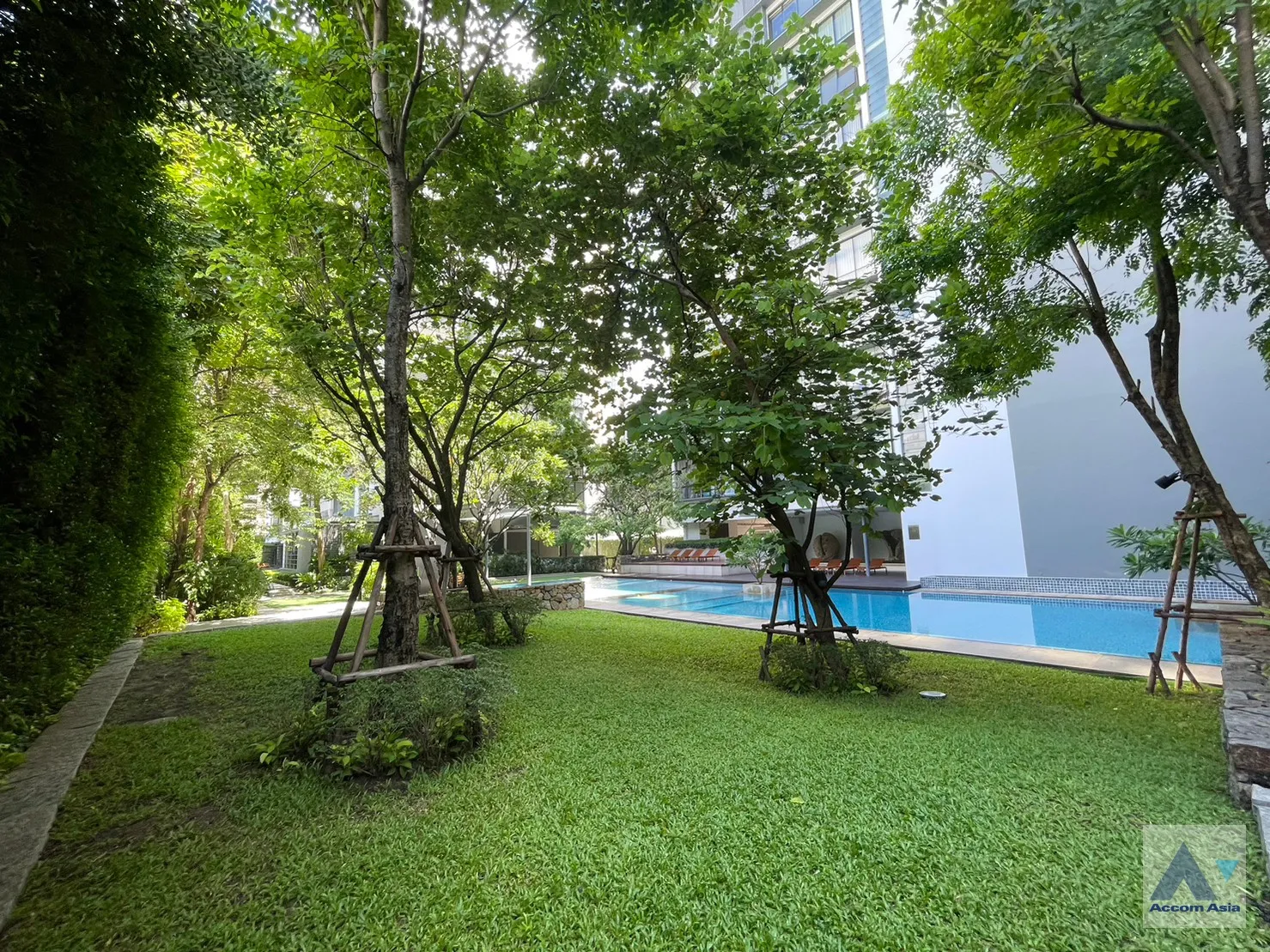  2 br Condominium for rent and sale in Sukhumvit ,Bangkok BTS Asok - MRT Sukhumvit at Domus 16 AA12274