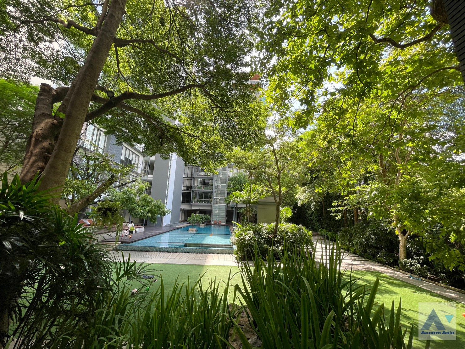  2 br Condominium For Rent in Sukhumvit ,Bangkok MRT Sukhumvit - BTS Asok at Domus 16 1512069