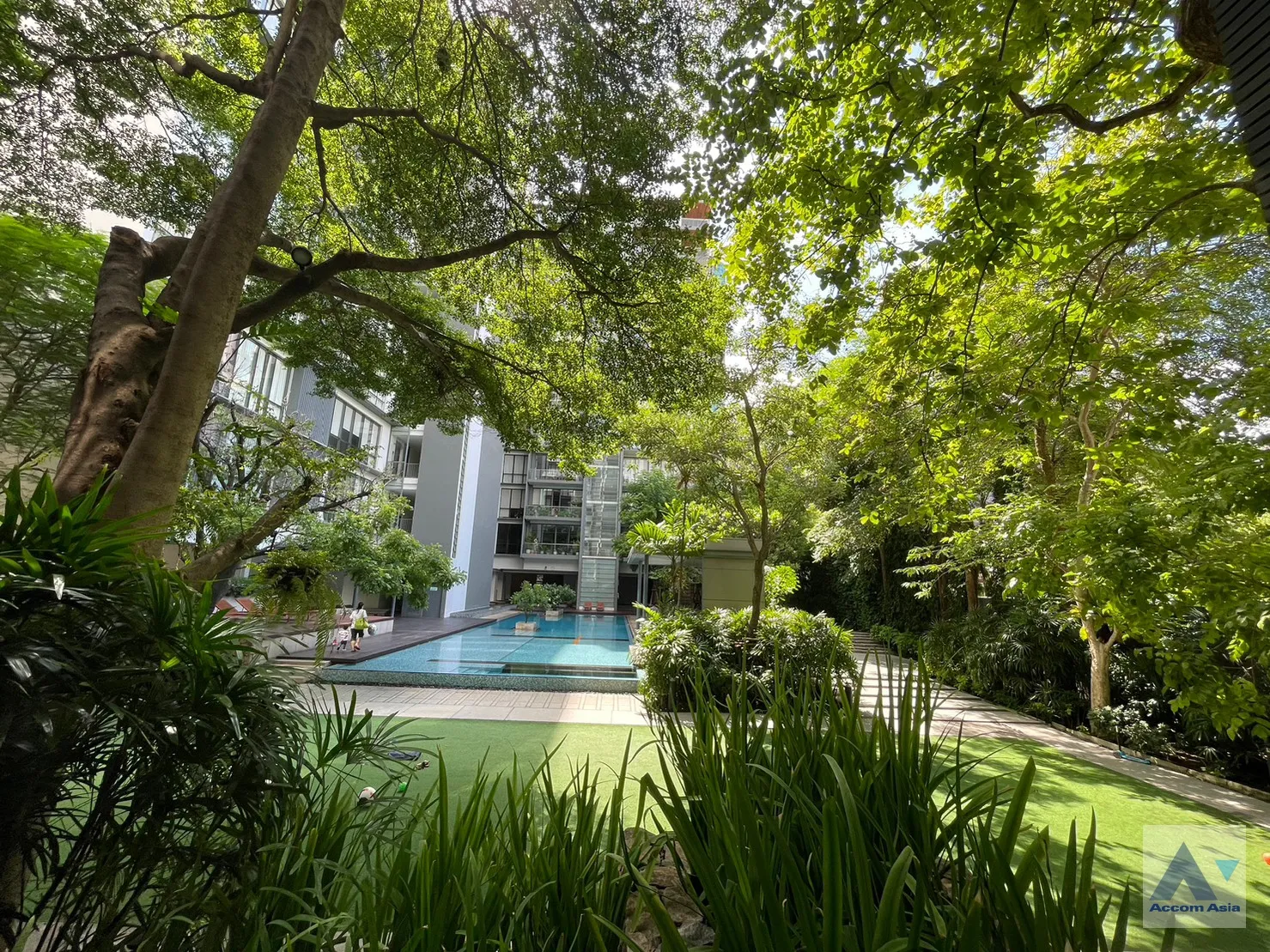  2 br Condominium For Rent in Sukhumvit ,Bangkok BTS Asok - MRT Sukhumvit at Domus 16 AA35293