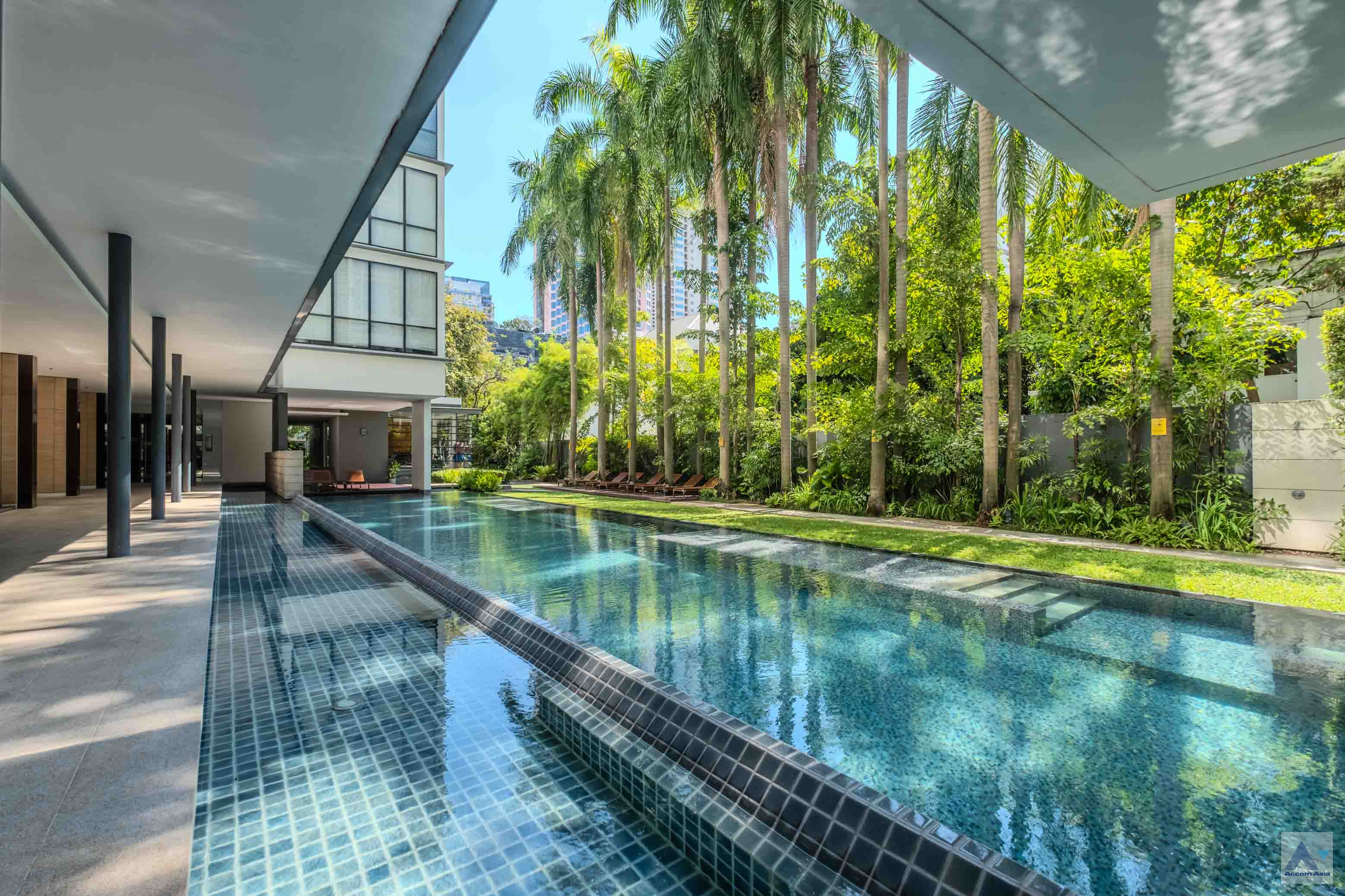  3 br Condominium For Rent in Sukhumvit ,Bangkok BTS Asok - MRT Sukhumvit at Domus 16 AA19256