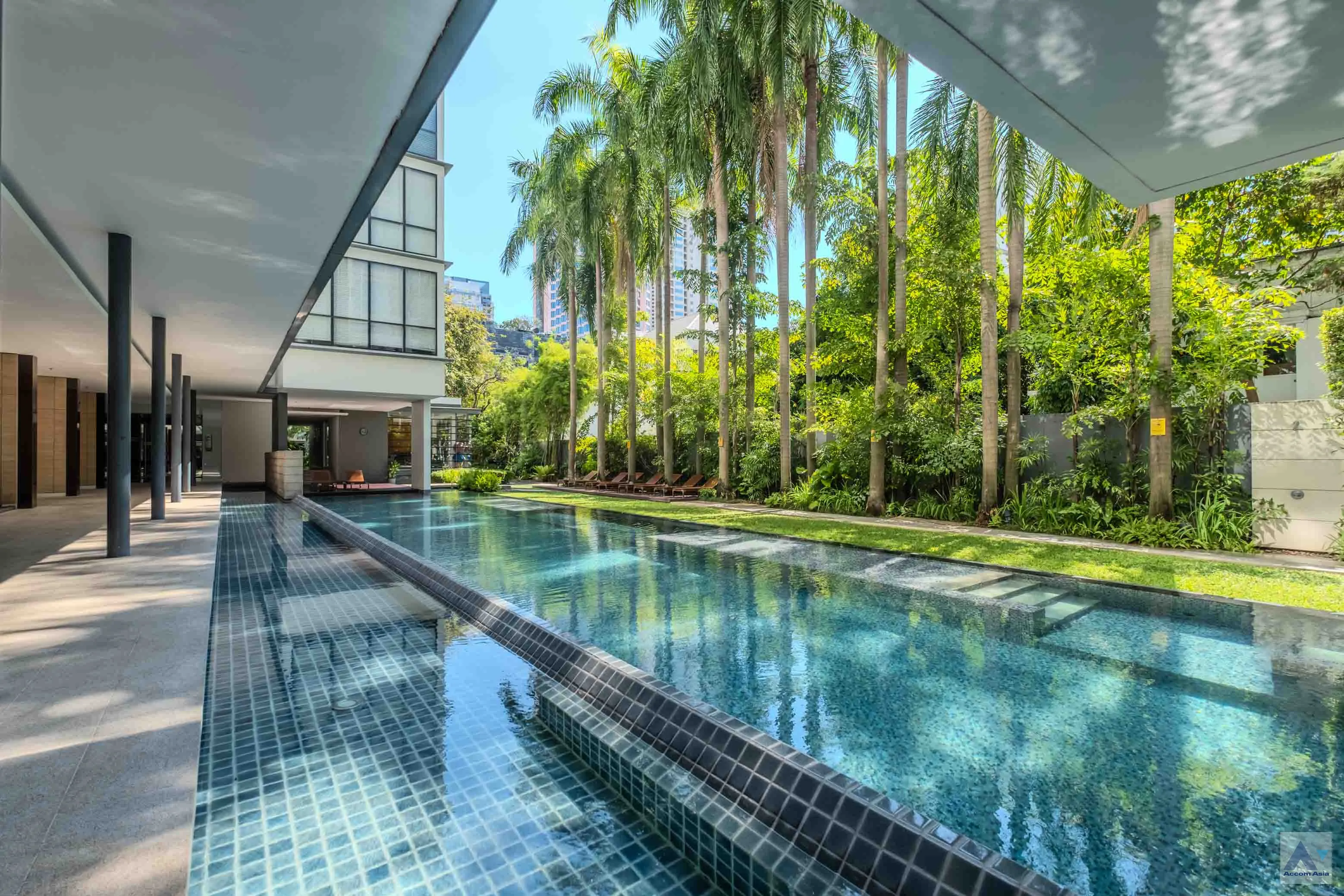  2 br Condominium For Rent in Sukhumvit ,Bangkok BTS Asok - MRT Sukhumvit at Domus 16 AA35293