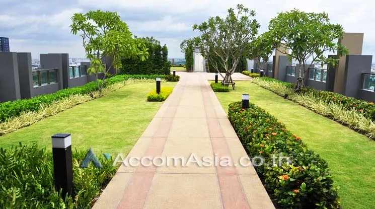  2 br Condominium For Rent in Sukhumvit ,Bangkok BTS On Nut at Q House Condo Sukhumvit 79 AA32276