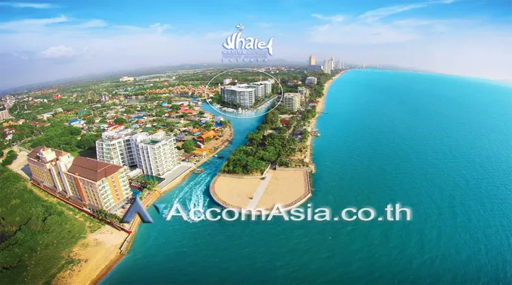  2 br Condominium For Sale in Sukhumvit ,Chon Buri  at Whale Marina Condo AA13220