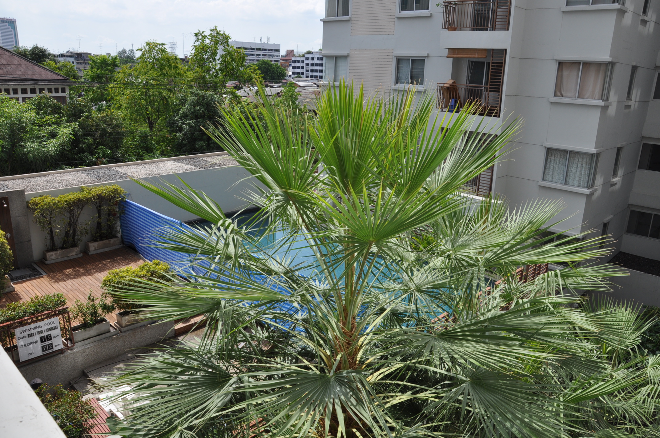  2 br Condominium For Sale in Ploenchit ,Bangkok BTS National Stadium at Condo One Siam AA34492