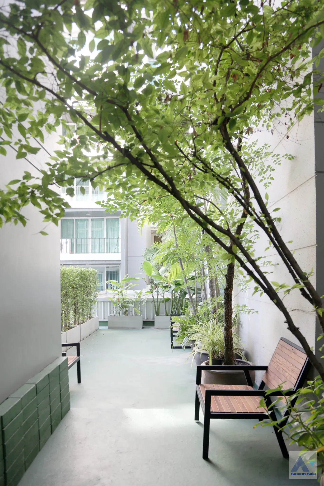  2 br Condominium For Rent in Sukhumvit ,Bangkok BTS Thong Lo at DLV Thong Lo 20 1512364