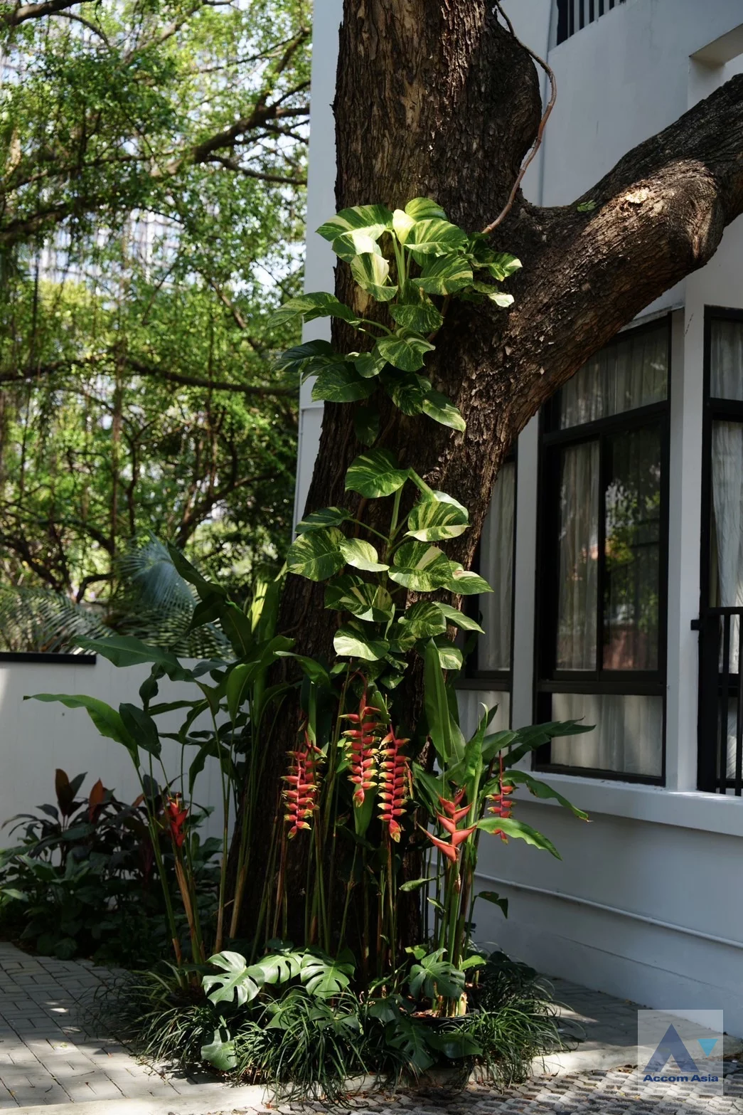 4 The urban forestry residence - House - Sukhumvit - Bangkok / Accomasia
