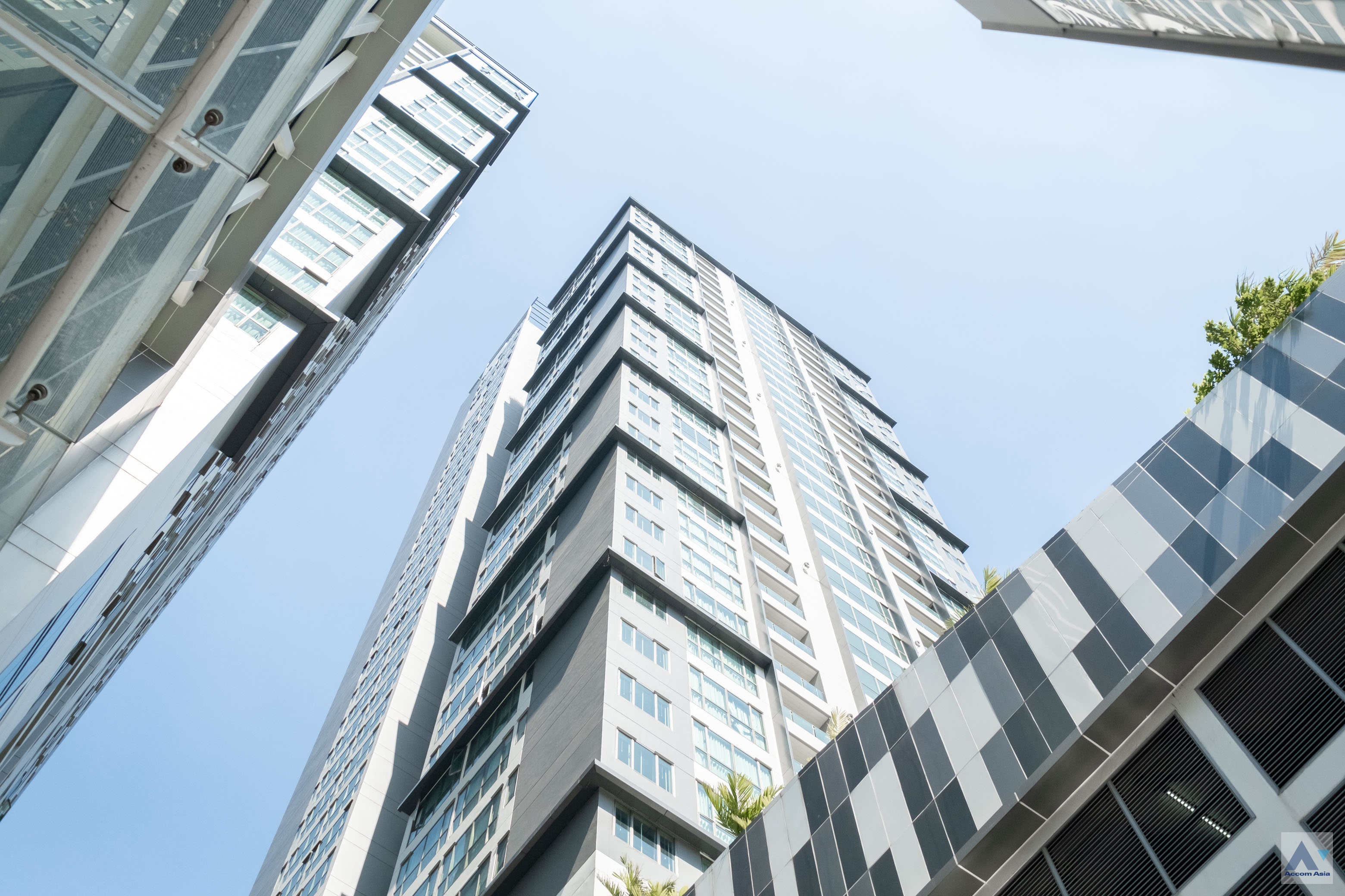  1 br Apartment For Rent in Sukhumvit ,Bangkok BTS Phrom Phong at The Elegantly Residence AA13357