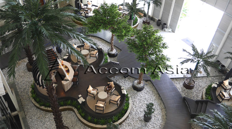 10 The Cove Pattaya - Condominium - Pattaya -Naklua - Chon Buri / Accomasia