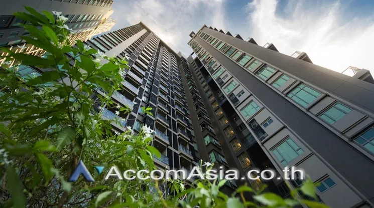  1 br Condominium for rent and sale in Sukhumvit ,Bangkok BTS Thong Lo at The Crest Sukhumvit 34 AA25840