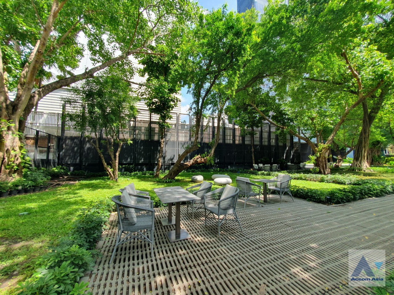  1 br Condominium For Rent in Sukhumvit ,Bangkok BTS Asok - MRT Sukhumvit at Ashton Asoke AA22980