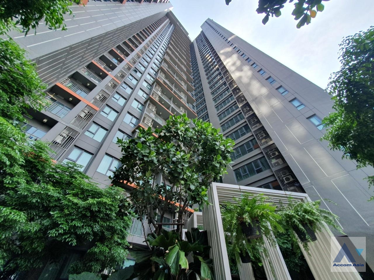  1  3 br Condominium For Rent in Sukhumvit ,Bangkok BTS Ekkamai at C Ekkamai AA27173