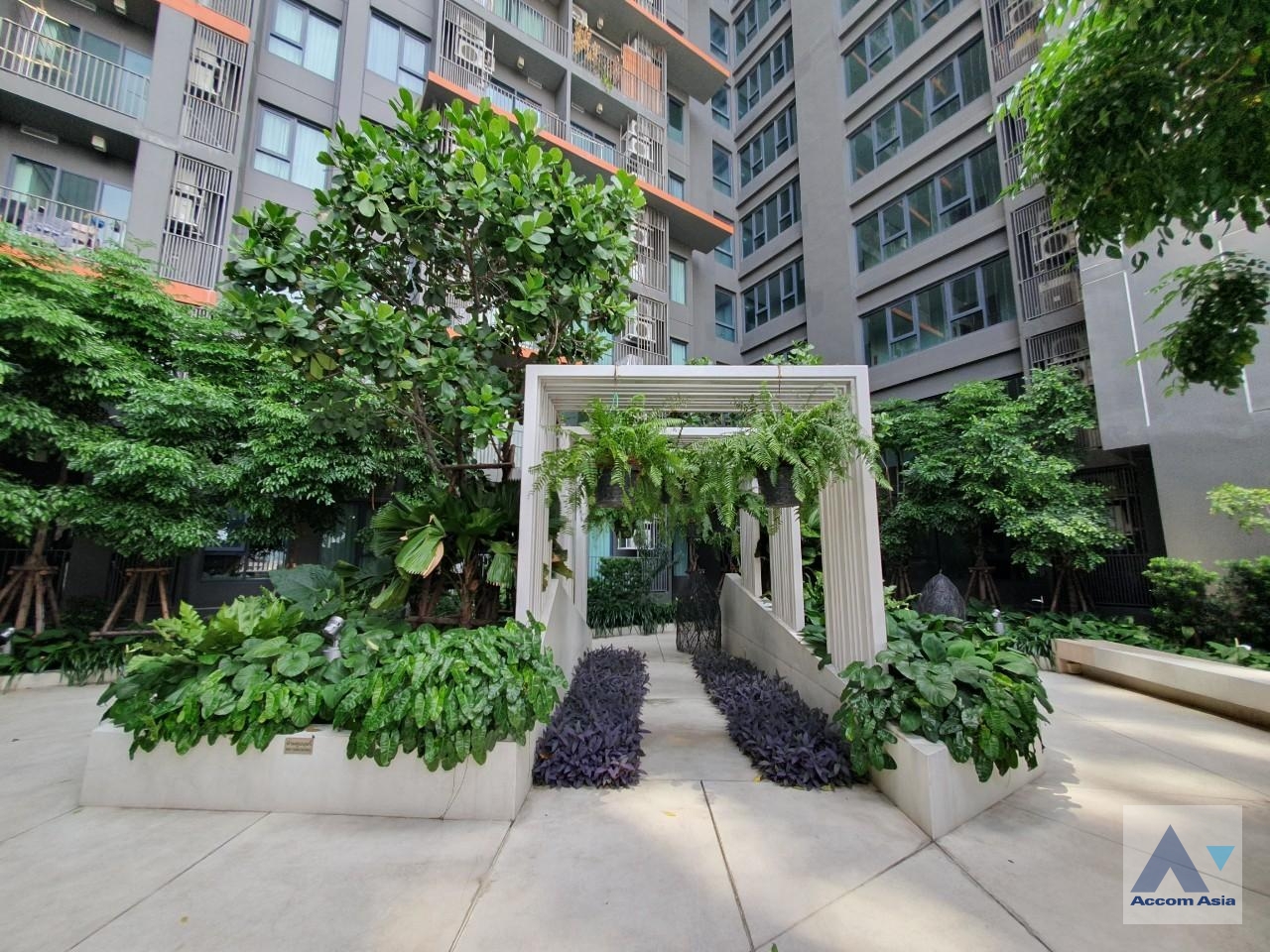  1 br Condominium For Sale in Sukhumvit ,Bangkok BTS Ekkamai at C Ekkamai AA36072