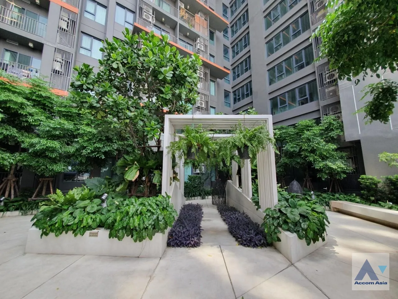  3 br Condominium for rent and sale in Sukhumvit ,Bangkok BTS Ekkamai at C Ekkamai AA32447