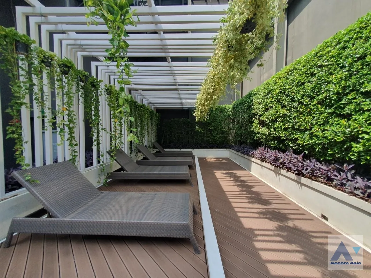  3 br Condominium for rent and sale in Sukhumvit ,Bangkok BTS Ekkamai at C Ekkamai AA32447