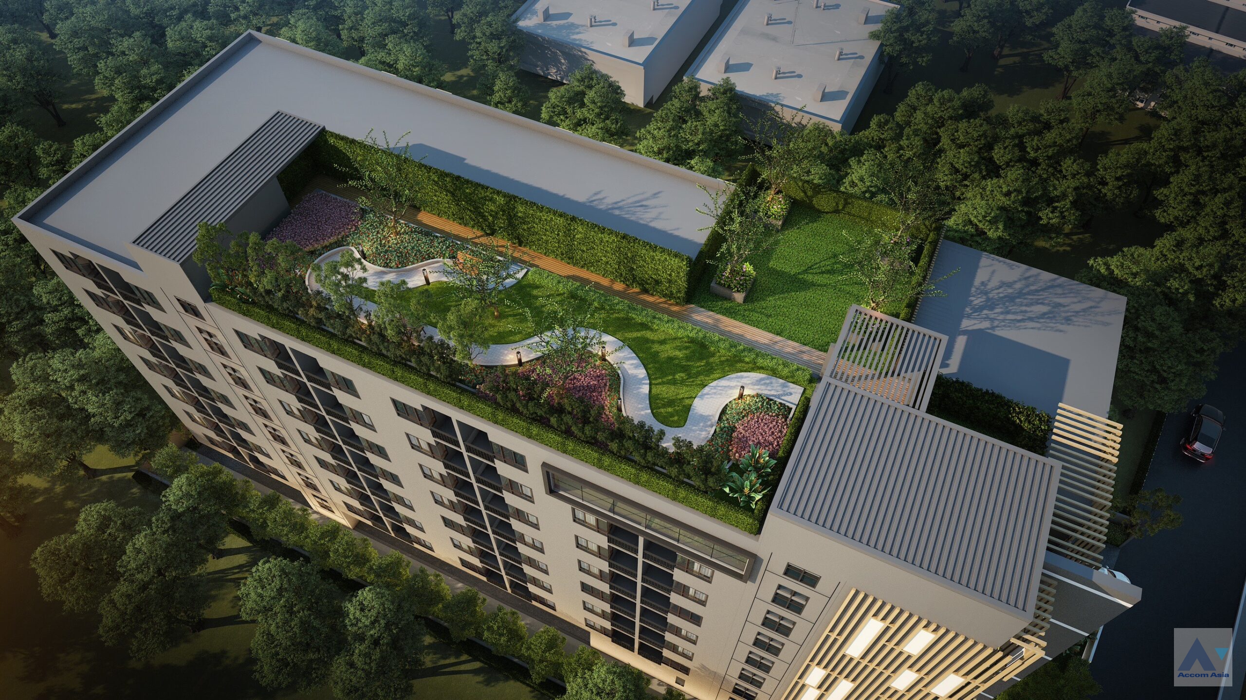 5 The Belgravia at Ratchada 17 - Condominium -  - Bangkok / Accomasia