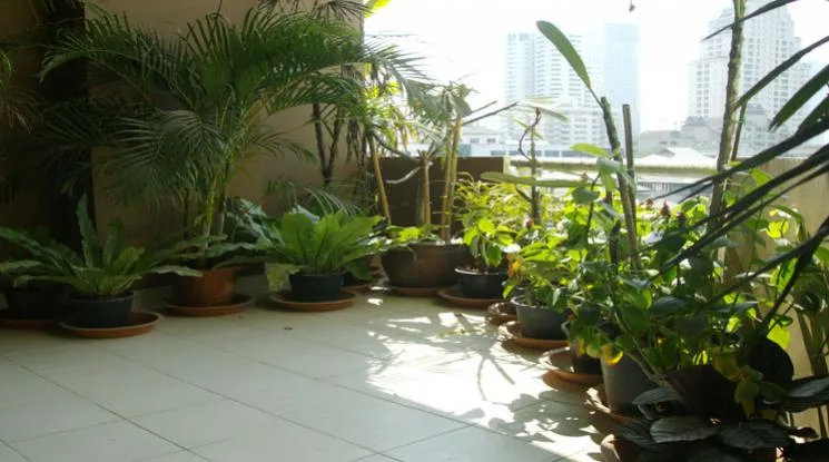 4  3 br Apartment For Rent in Sukhumvit ,Bangkok BTS Phrom Phong at Fully Furnished Suites 1412545