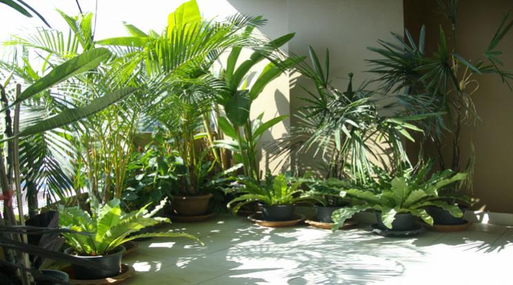 4  3 br Apartment For Rent in Sukhumvit ,Bangkok BTS Phrom Phong at Fully Furnished Suites 1412561