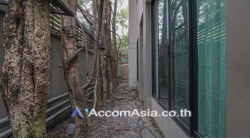 unitPrivate Swimming Pool |  3 Bedrooms  House For Rent in Sukhumvit, Bangkok  near BTS Thong Lo (AA11532)