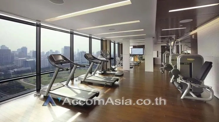  1  5 br Condominium For Sale in Ploenchit ,Bangkok BTS Ratchadamri at The St. Regis Bangkok (Residences) AA15685