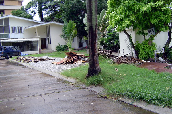 4  3 br House For Rent in Sukhumvit ,Bangkok BTS Ekkamai - BTS Phra khanong 9006601