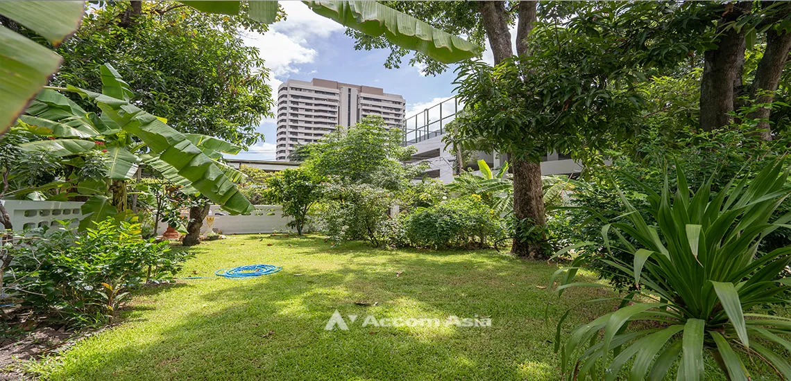 unitPet friendly |  3 Bedrooms  House For Rent & Sale in Sukhumvit, Bangkok  near MRT Sukhumvit - BTS Asok (AA31766)