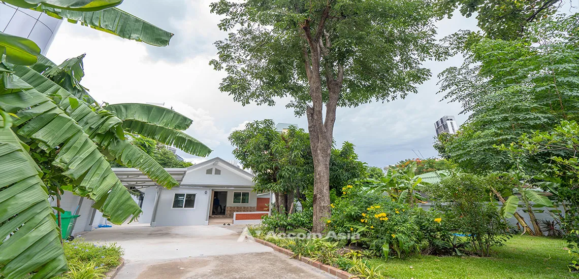 unitPet friendly |  3 Bedrooms  House For Rent & Sale in Sukhumvit, Bangkok  near MRT Sukhumvit - BTS Asok (AA31766)