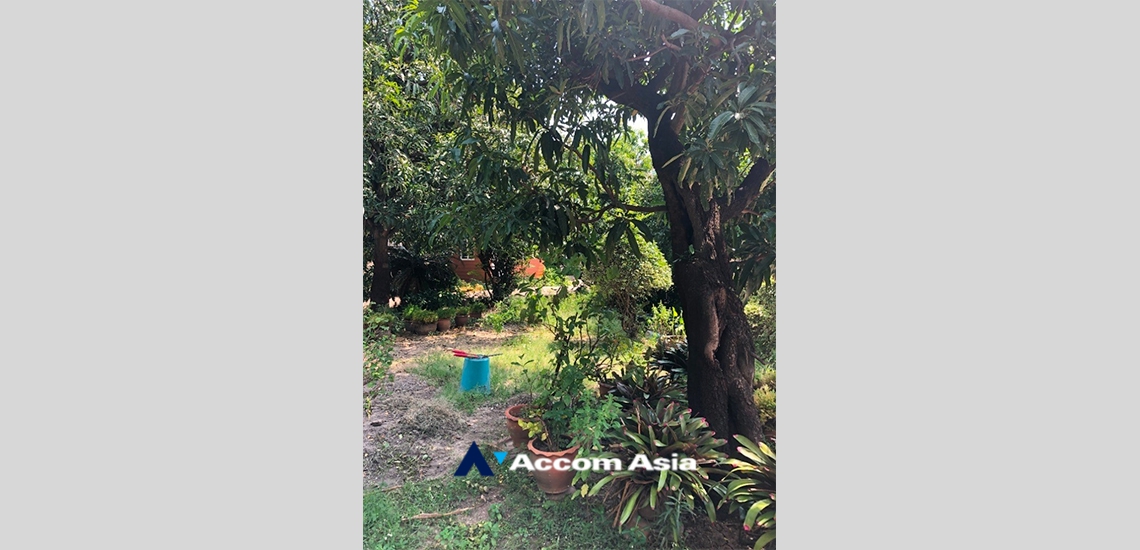 10  5 br House For Rent in Bang Na ,Bangkok BTS Udomsuk AA34963