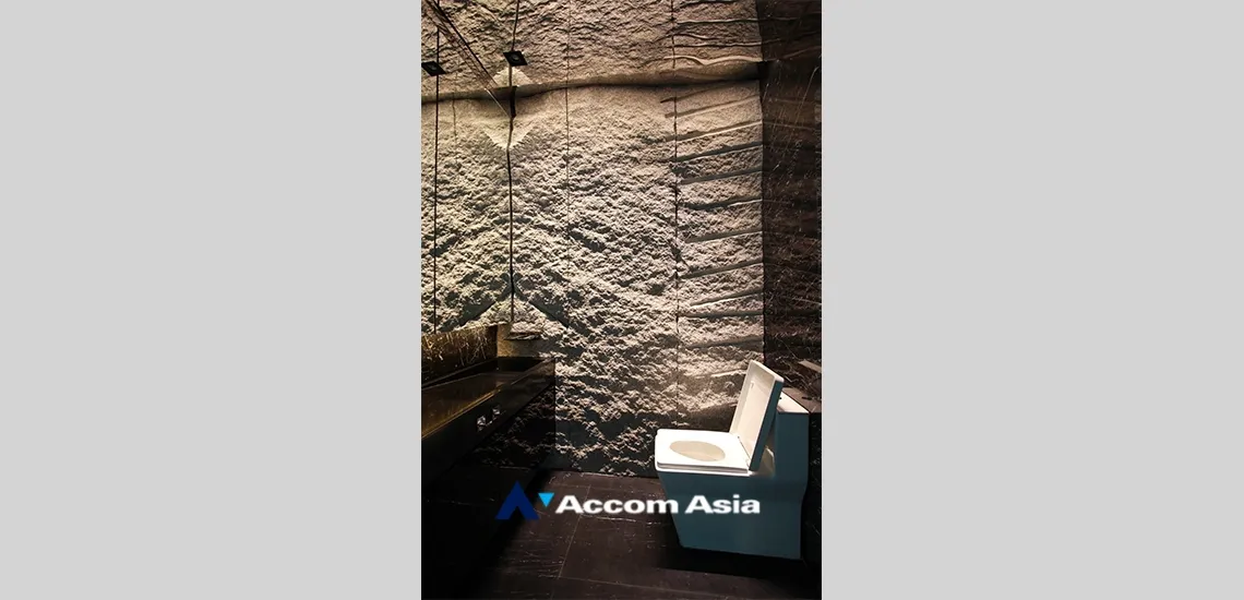 13  3 br Condominium For Sale in Ploenchit ,Bangkok BTS Ratchadamri at The St. Regis Bangkok (Residences) AA34990