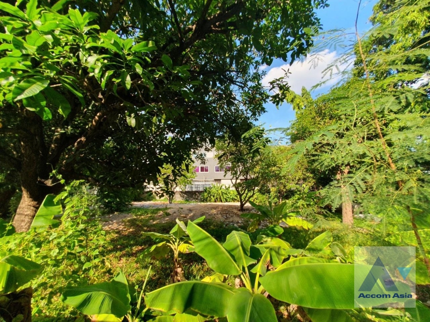  1  Land For Sale in Sukhumvit ,Bangkok BTS Phra khanong AA35353