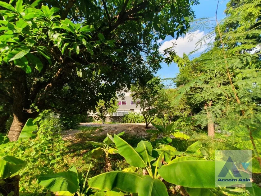  1  Land For Sale in Sukhumvit ,Bangkok BTS Phra khanong AA35353