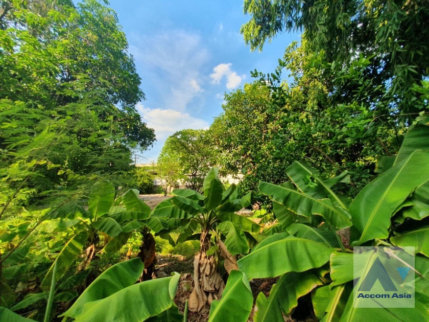  1  Land For Sale in Sukhumvit ,Bangkok BTS Phra khanong AA35353