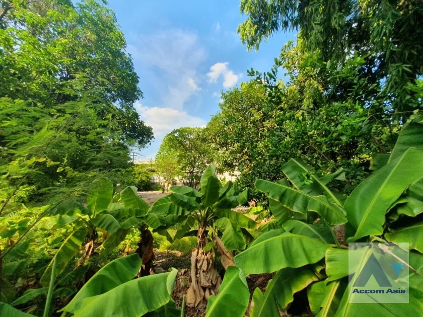 unit Land For Sale in Sukhumvit, Bangkok  near BTS Phra khanong (AA35353)