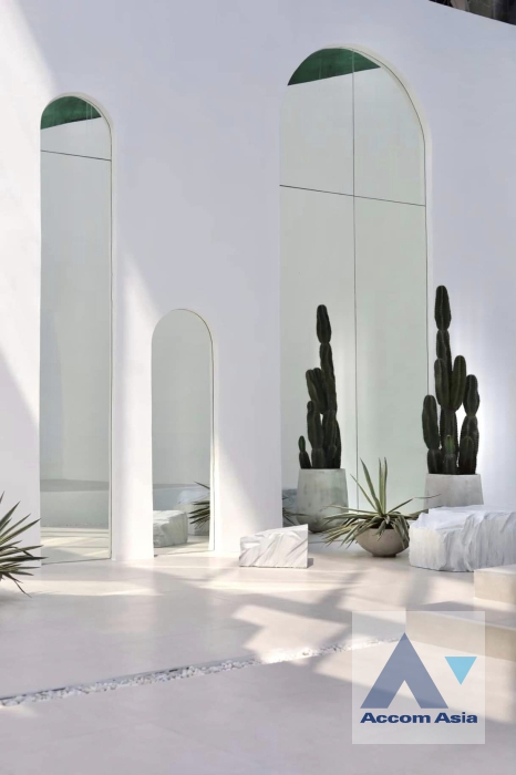 11  12 br Shophouse For Rent in Ploenchit ,Bangkok  AA36206