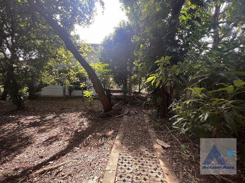 6  House For Rent in Sukhumvit ,Bangkok BTS Ekkamai AA36548