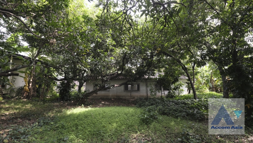 41  House For Rent in Sukhumvit ,Bangkok BTS Ekkamai AA36548