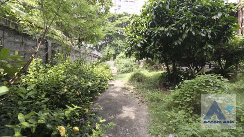 40  House For Rent in Sukhumvit ,Bangkok BTS Ekkamai AA36548