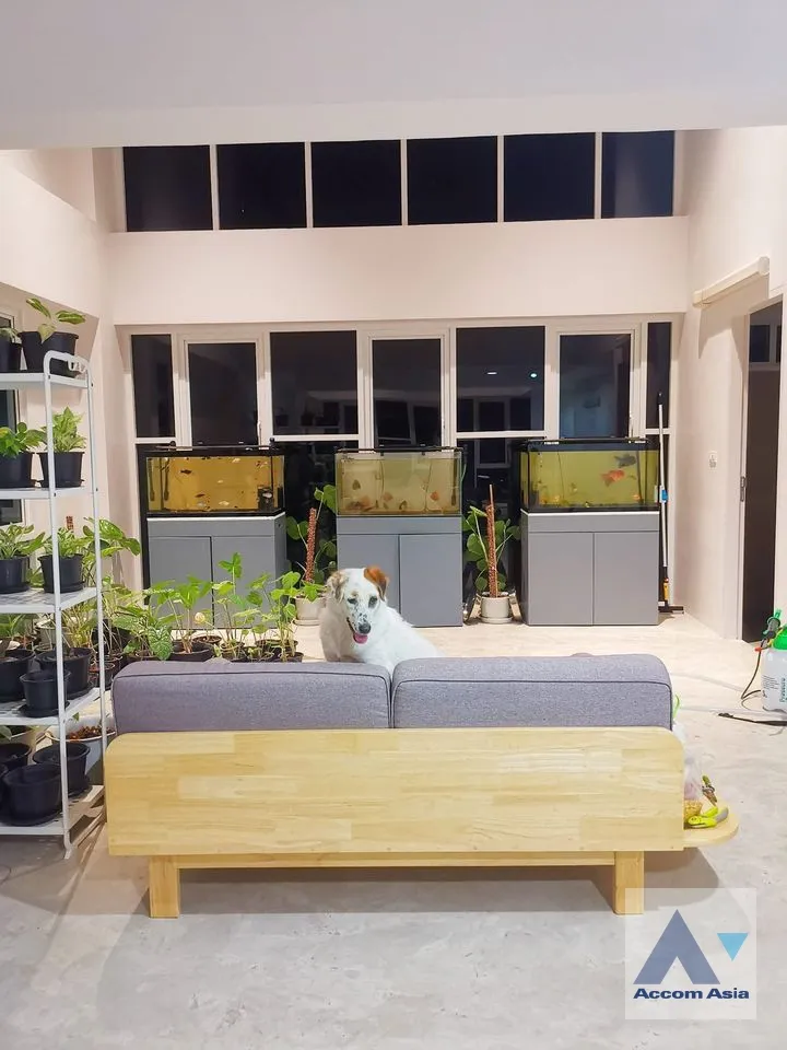  1  3 br Townhouse For Rent in Sukhumvit ,Bangkok BTS Udomsuk at Hof UdomSuk AA37932