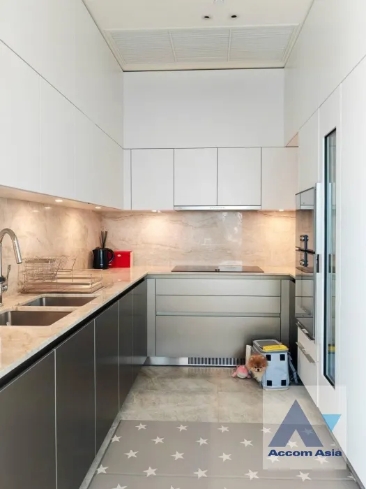 9  2 br Condominium For Sale in Ploenchit ,Bangkok BTS Chitlom at Scope Langsuan AA40029