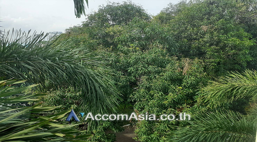 11  2 br Condominium For Rent in Sukhumvit ,Bangkok BTS Ekkamai at The Bangkok Sukhumvit 61 25903