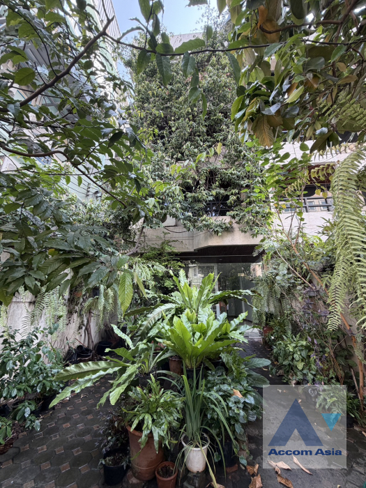 16  6 br House For Rent in Sukhumvit ,Bangkok BTS Thong Lo AA45688