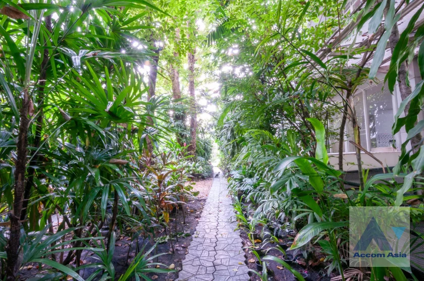 24  4 br Townhouse for rent and sale in Sukhumvit ,Bangkok  at House in garden compound with pool AA46295