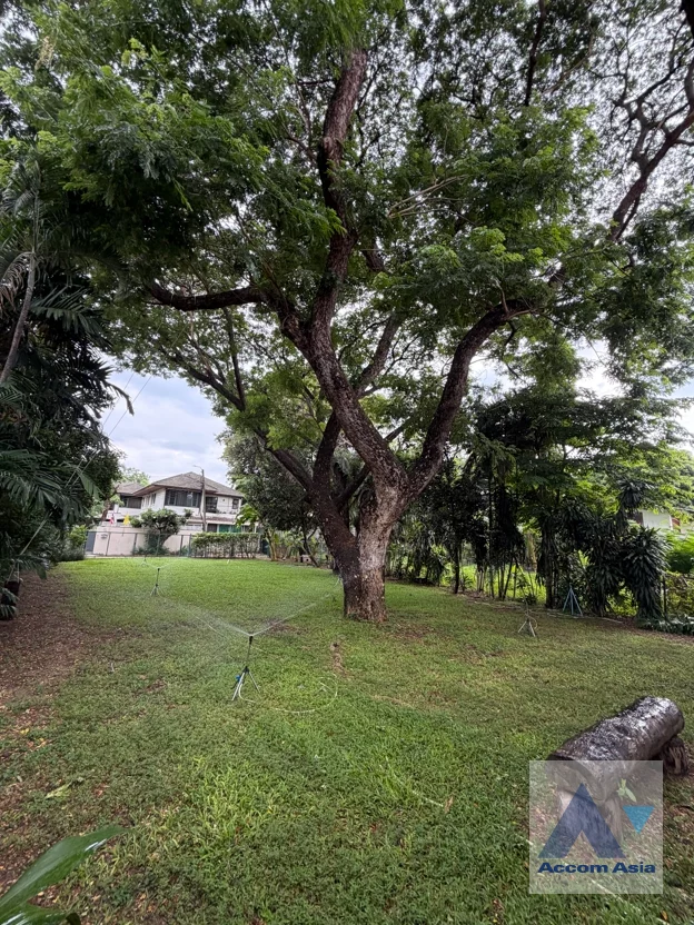 13  4 br House For Rent in New Phetchaburi ,Bangkok MRT Phetchaburi AA46538