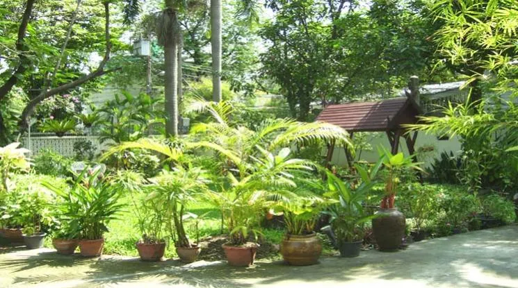 1  3 br House for rent and sale in Sukhumvit ,Bangkok BTS Phrom Phong 9016201