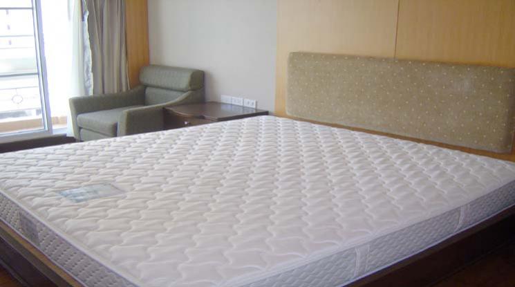 6  2 br Apartment For Rent in Sukhumvit ,Bangkok BTS Nana at Tranquil ambiance 18753