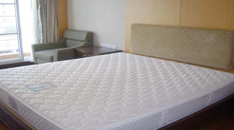 6  2 br Apartment For Rent in Sukhumvit ,Bangkok BTS Nana at Tranquil ambiance 18753